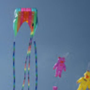 Meet your Posher, Maggie